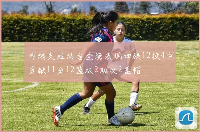 内线支柱纳吉全场表现回顾12投4中贡献11分12篮板2助攻2盖帽